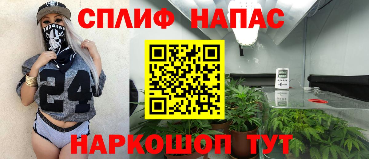 Бошки марихуана Amnesia Елизово